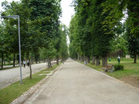 parcul central cluj, Cluj-Napoca