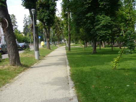 parcul central cluj, Cluj-Napoca