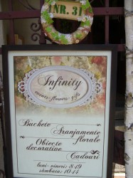 Floraria Infinity, Cluj-Napoca